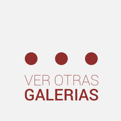 ver Otras Galerías