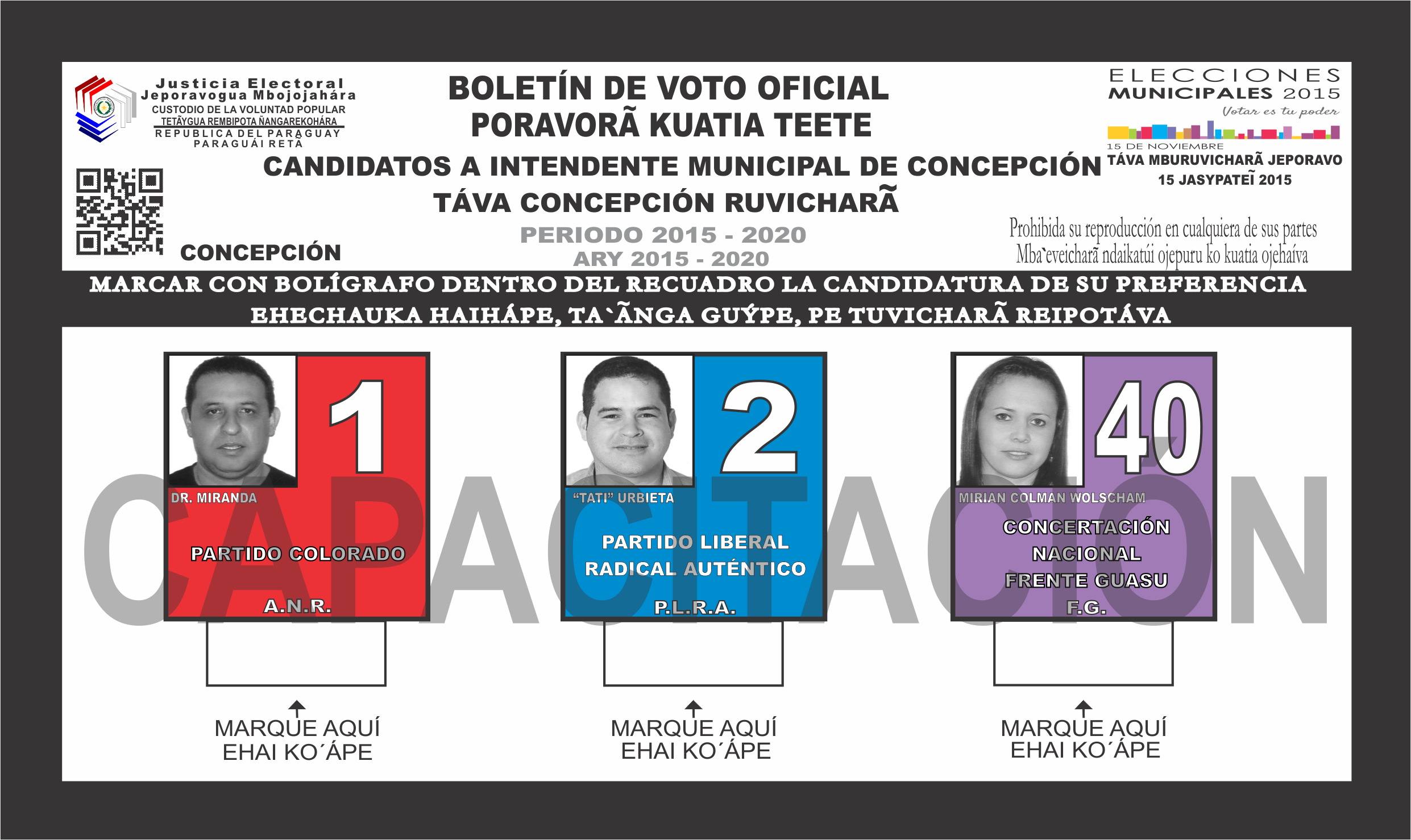 Boletines de voto del Distrito Concepcón del departamento 1 - Concepcón- Intendente